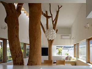 15 پروژه که درختان راهکارهایی را برای طراحی داخلی ارائه می دهند!